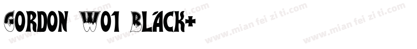 Gordon W01 Black字体转换
